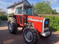 Massey Ferguson MF 590 A mit Allrad, Traktor, Schlepper, TÜV Rheinland-Pfalz - Lemberg Vorschau