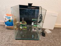 Aquarium Dennerle Nano Cube 30 Liter mit Zubehör Hessen - Jossgrund Vorschau