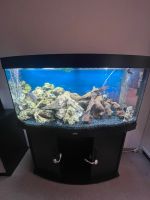 Juwel Aquarium Vision 260 / LED Röhren Dresden - Schönfeld-Weißig Vorschau