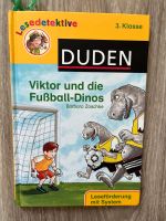 Viktor und die Fußball-Dinos - Buch Rheinland-Pfalz - Linz am Rhein Vorschau