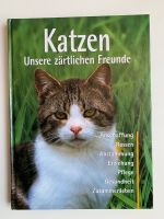 1 Buch über die Katzen Köln - Blumenberg Vorschau
