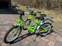 PUKY Kinderfahrrad 16 Zoll Rheinland-Pfalz - Westerburg Vorschau