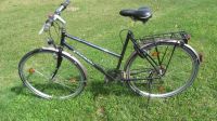 Fahrrad Diamant Overlander Tour 28Zoll mit Union Walzendynamo Sachsen - Mittelbach Vorschau