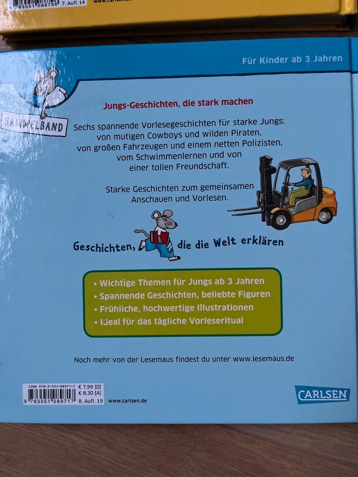 2 Kinderbücher Lesemaus Kindergarten und Jungsgeschichten in Kiedrich