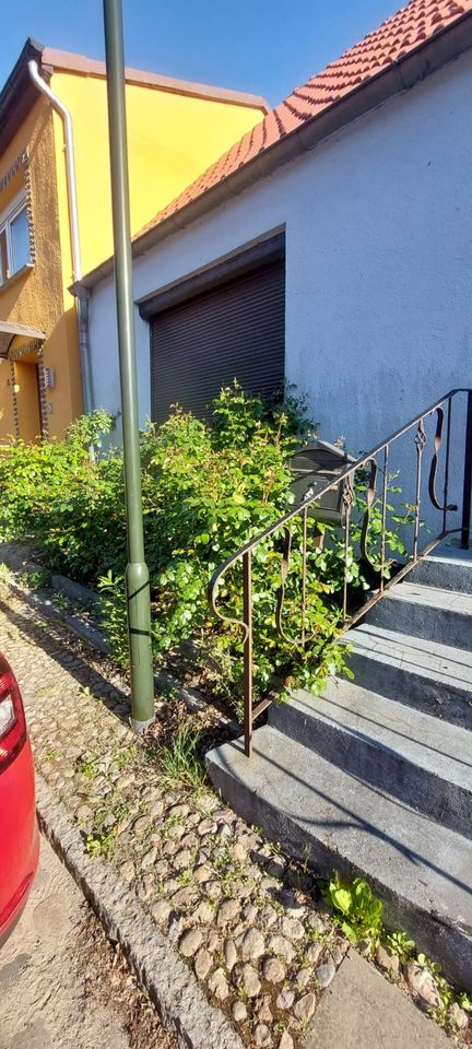 Einfamilienhaus mit 6 Zimmer und Garage in Franzburg zu vermieten! in Franzburg