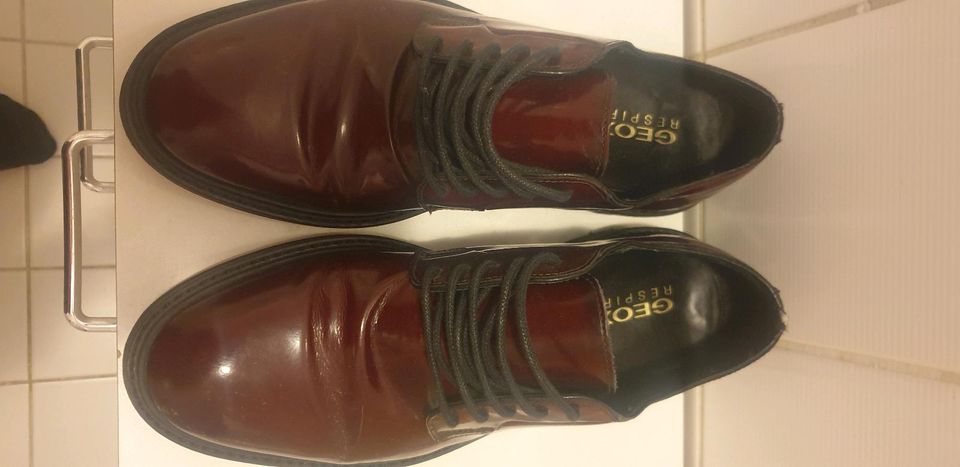 Geox Herren Lederschuhe Größe 40 bordeaux rot in Ludwigshafen