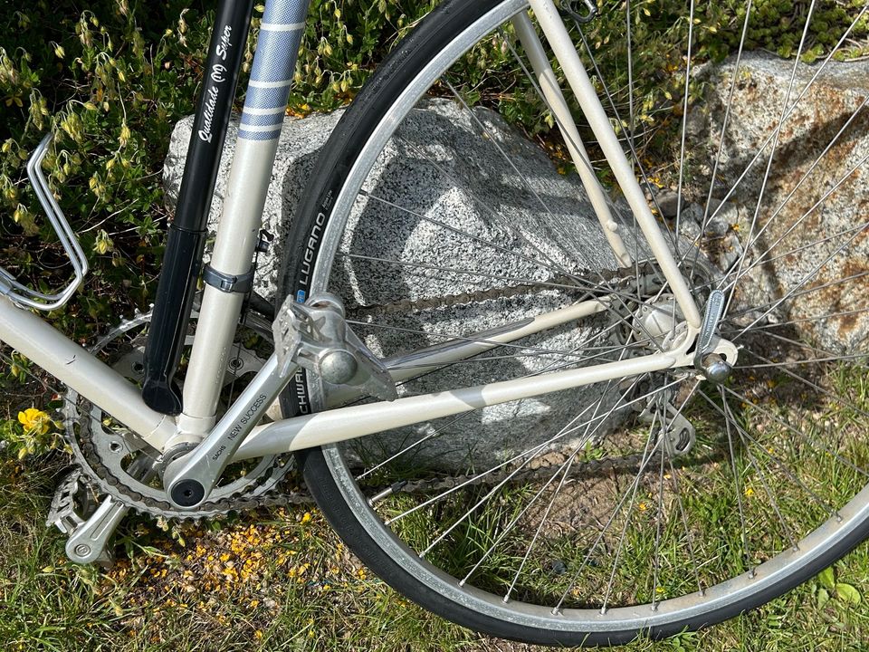 Rennrad Hercules Rarität Vintage in Wenzenbach