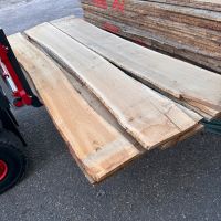 Eiche Brett 21mm Bohle Holzbrett Diele Holz Möbelholz Asteiche Bayern - Nittendorf  Vorschau