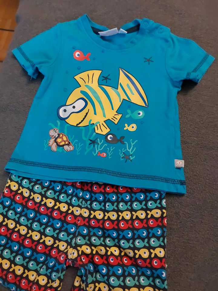 Baby 2-Teiler Shorts + coolem Shirt gr.74 in Nabburg