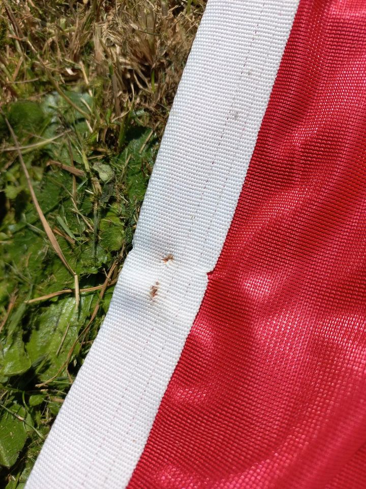 1. FC Köln Flagge in Arnsberg