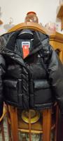 Die neue Levis Daunenjacke. Größe L. Neu mit Etiketten! NP 220EUR Hannover - Herrenhausen-Stöcken Vorschau