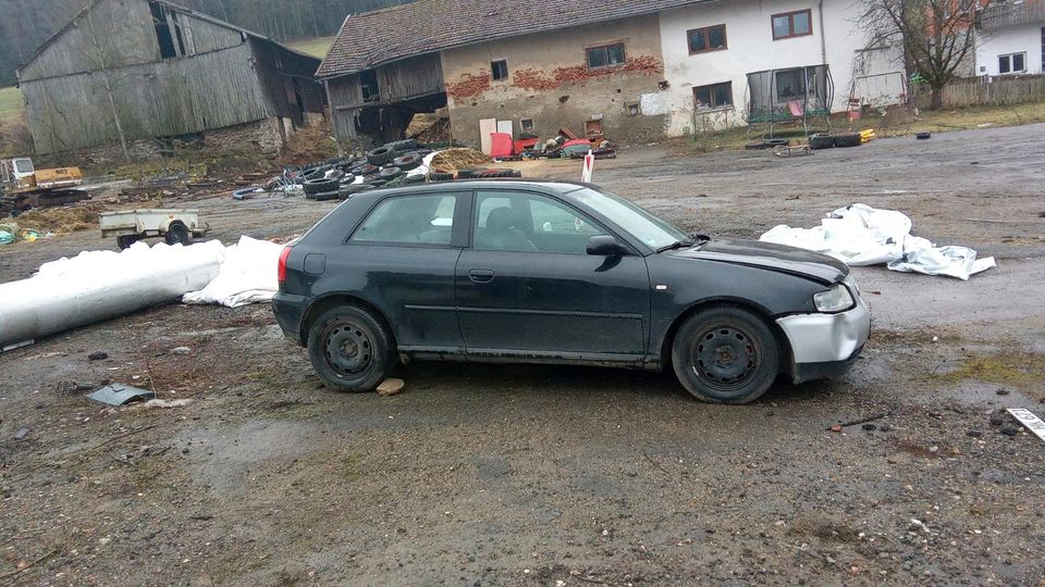 Verkaufe Audi A3 in Miltach