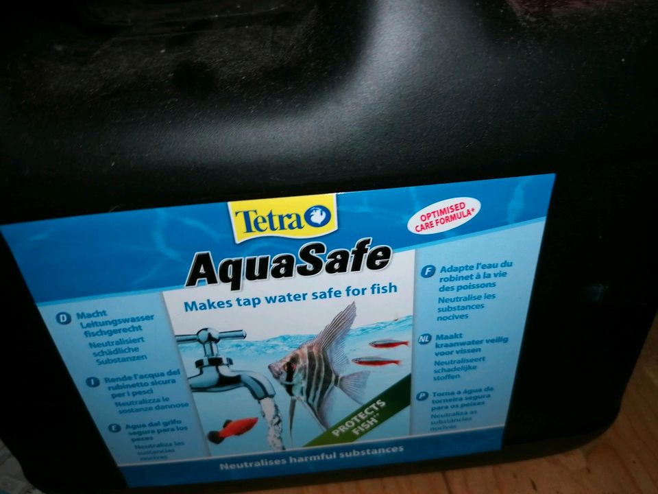 Aquarium 60 Liter in Schwarme