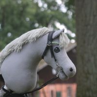 Hobby horse Hannover - Kirchrode-Bemerode-Wülferode Vorschau