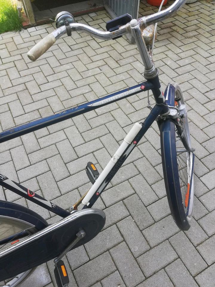 Havera Tourenrad ohne Gangschaltung in Wetter (Ruhr)