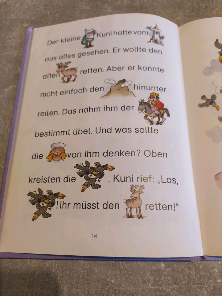 Der kleine Ritter Kuni in Merzalben