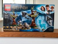 Lego 75945 - Harry Potter Expecto Patronum NEU & OVP Sachsen - Delitzsch Vorschau