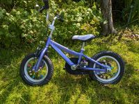 Specialized Hotrock 12" Kinderfahrrad Düsseldorf - Grafenberg Vorschau