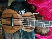 Harley Benton Kahuna Ukulele Schleswig-Holstein - Emkendorf Vorschau