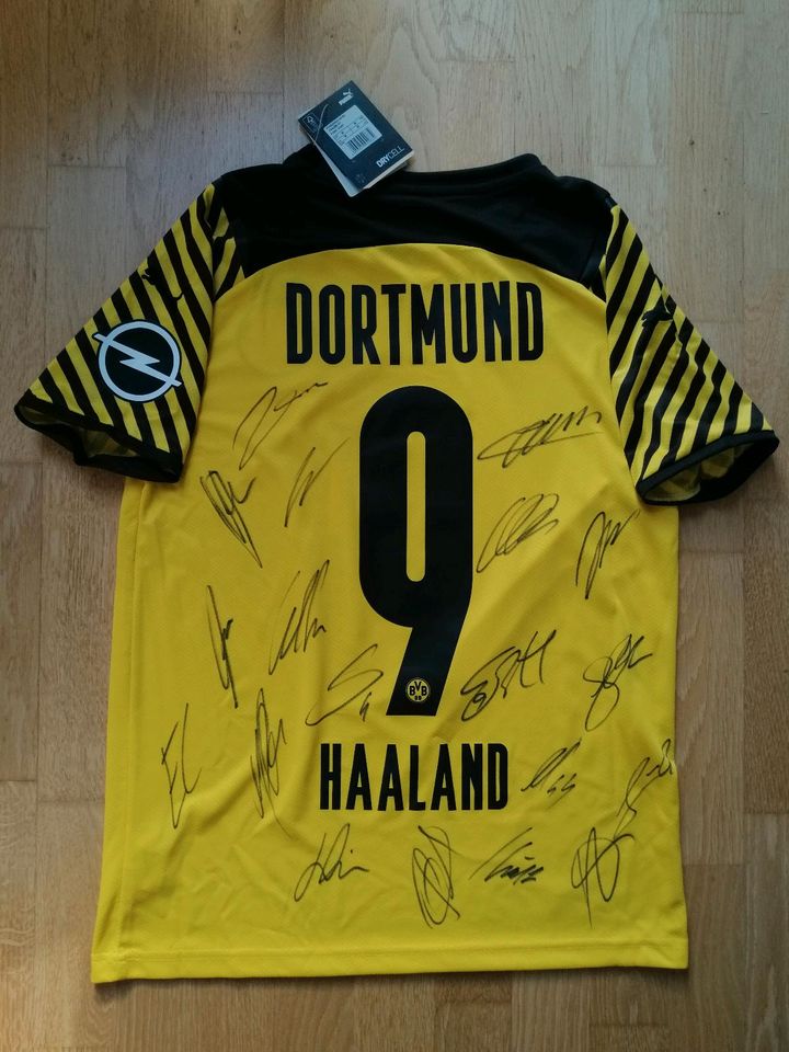 Signiertes Haaland Trikot, Erling Haaland Autogramm, Gr. M in München