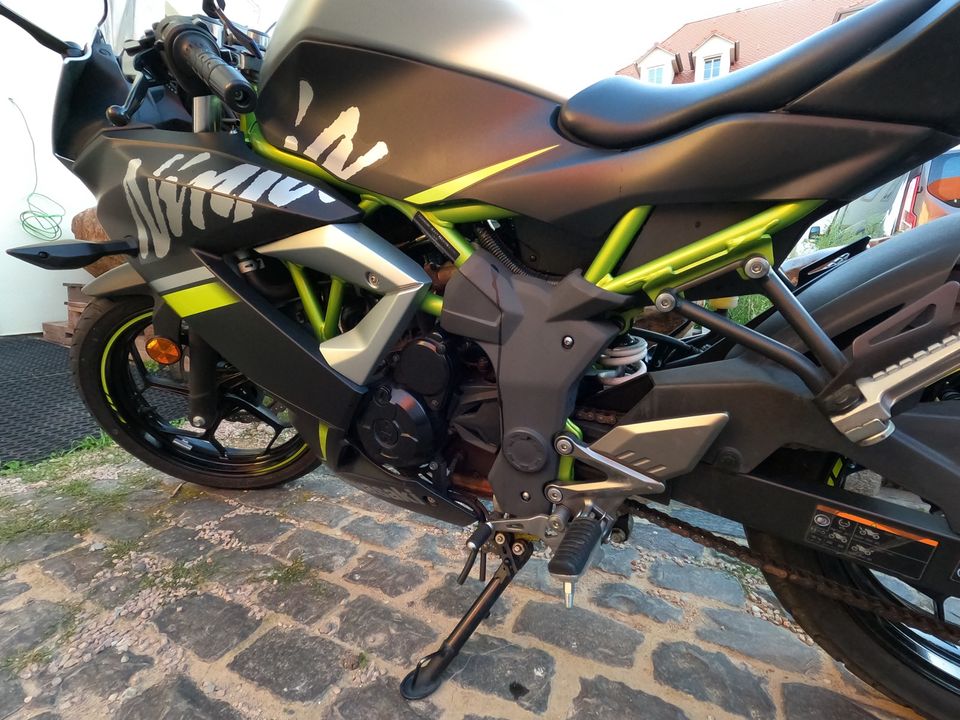 Kawasaki Ninja 125, 55 mm Tiefergelegt in Alzey