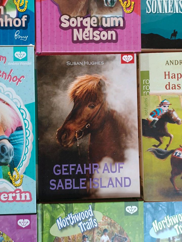 Ponyclub Bücher,  pferdebücher nicht im Handel erhältlich in Passau