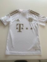 FC Bayern Kinder Trikot Gr 128 Niedersachsen - Brake (Unterweser) Vorschau