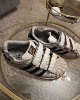 Adidas Superstar kinder Schuhe total süß Nordrhein-Westfalen - Herten Vorschau