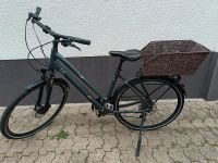 Liv Fahrrad/giant 28 Zoll, sehr gut erhalten Rheinland-Pfalz - Schifferstadt Vorschau