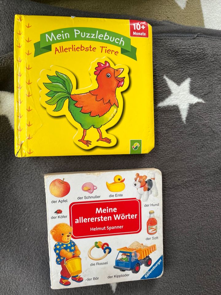 Kinderbücher ab 12+ in Wietmarschen