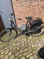Gazelle Hollandrad Fahrrad 28 Zoll schwarz Nostalgie Nordrhein-Westfalen - Everswinkel Vorschau