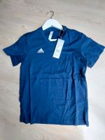 Adidas Entrada 22, T-Shirt Damen Blau, Größe S Bayern - Krumbach Schwaben Vorschau