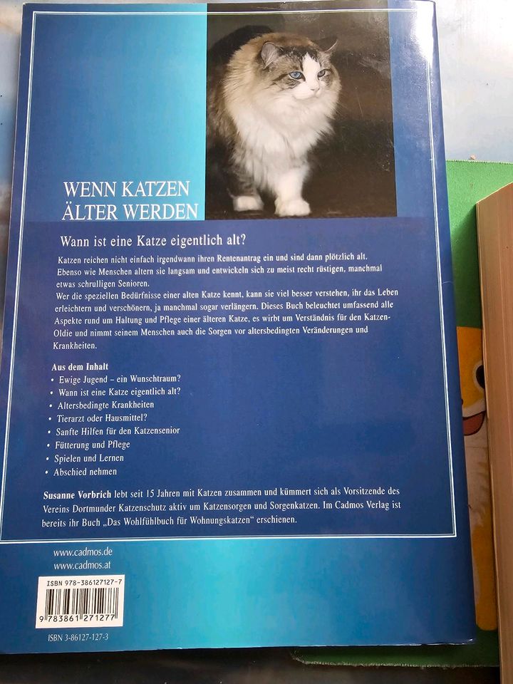 Buch: Wenn Katzen älter werden in Uetersen