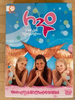 DVD h2O Plötzlich Meerjungfrau 1.Staffel 4 DVDs Bayern - Unterhaching Vorschau