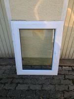 Fenster gebraucht Baden-Württemberg - Bad Saulgau Vorschau