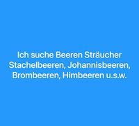 Suche Beeren Sträucher Johannisbeeren Stachelbeeren alle u.s.w. Sachsen - Hainichen Vorschau