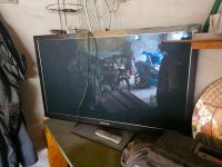Panasonic Plasma TV 3D 360 Grad drehbar 42 Zoll 106 cm West - Höchst Vorschau