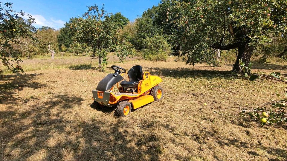 Mäharbeiten Mähen Mulchen Mulcharbeiten Grünflächenpflege in Marktheidenfeld