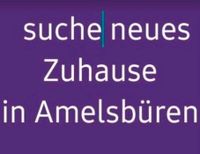 Wohnung in Amelsbüren gesucht Nordrhein-Westfalen - Sendenhorst Vorschau