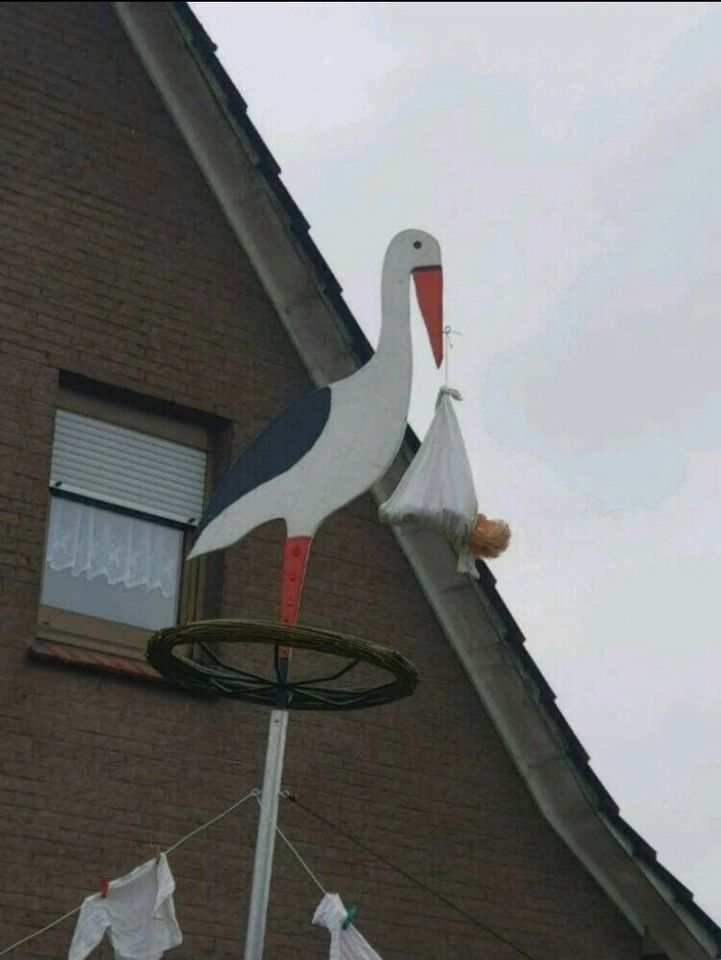 Storch zum ausleihen in Westoverledingen