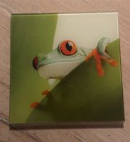 Glasbild Frosch Bild von EUROGRAPHICS, 20x20cm Baden-Württemberg - Heidelberg Vorschau