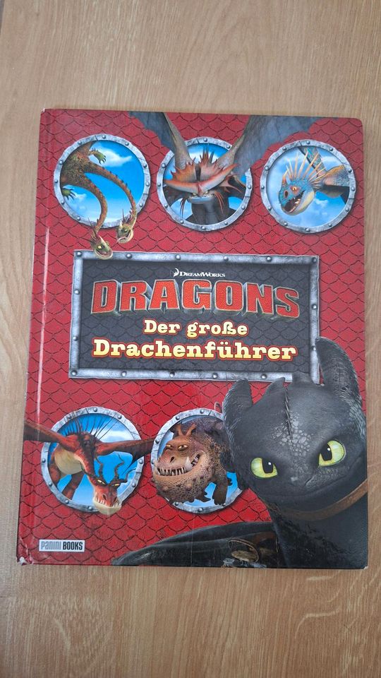 Kinderbuch Dragons Der große Drachenführer in Bad Laer