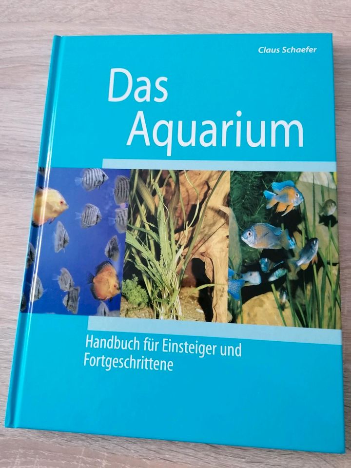 Das Aquarium in Halle