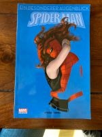 Marvel Comic Spider-Man Ein besonderer Augenblick Bayern - Tapfheim Vorschau