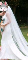 Brautkleid Hochzeitskleid Gr. 34 Meerjungfrau Pronovias Barcelona Hannover - Mitte Vorschau