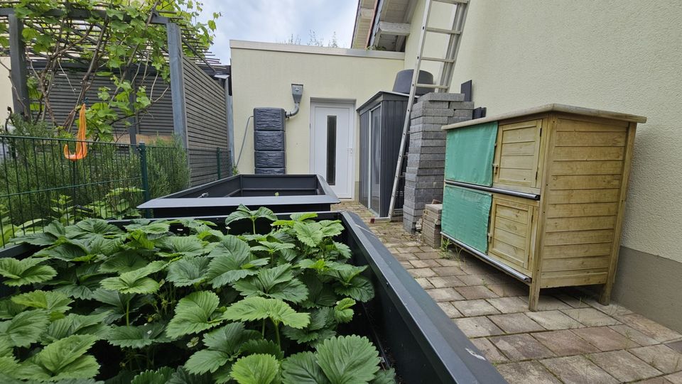 Viel Platz zum Wohlfühlen in offen gebautem, freistehendem Einfamilienhaus in Bechtolsheim