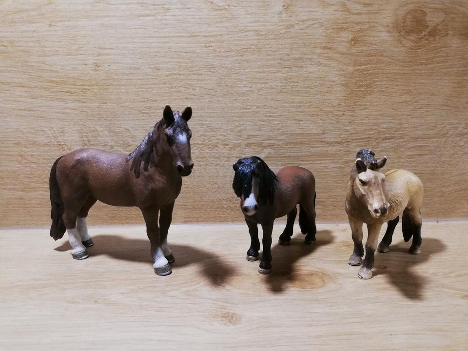 Schleich Pferd Fohlen 26 Stück in Fußgönheim