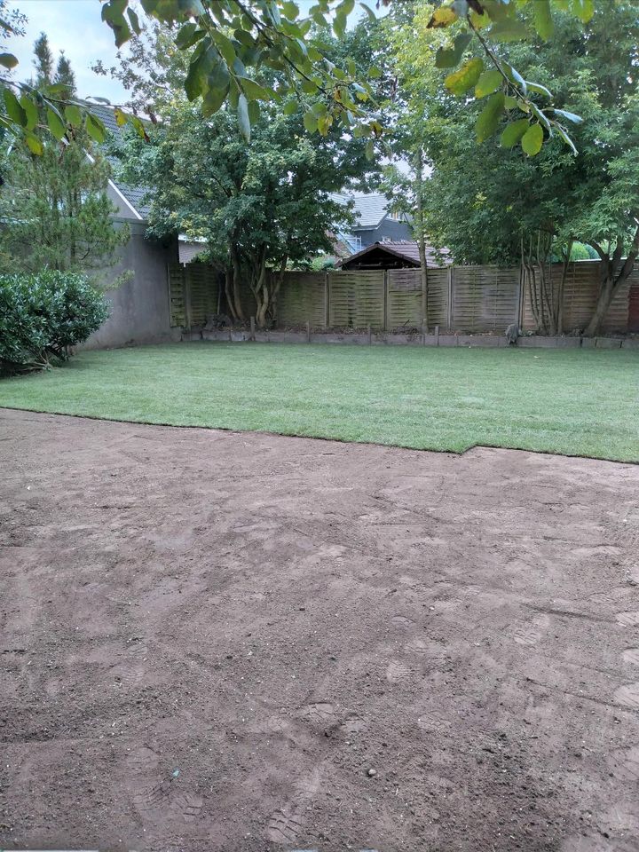 Rollrasen Gartenarbeit Gärtner Heckenschneiden umgraben fräsen in Essen