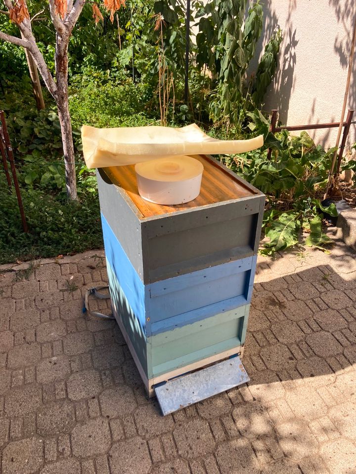 Zander Bienen Beuten, Gebraucht, lackiert, abgeflammt und einsatz in Bruchmühlbach-Miesau