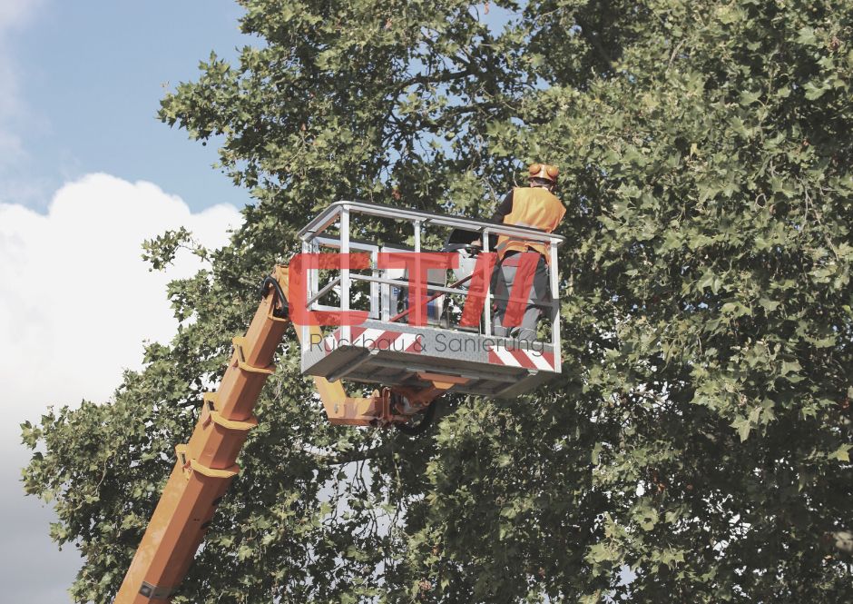 Baumfällung | Fällung | Rodung | Spezialbaumfällung | Forstmulchen | Baumschnitt | Gartenarbeit I Gartensanierung | Sturmschäden | Abbrucharbeiten in Hamburg